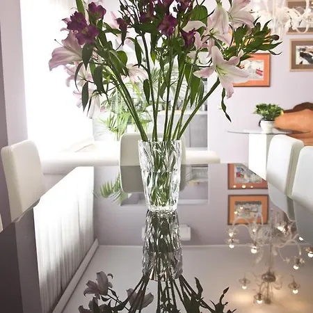 Luxury In Vatican Area