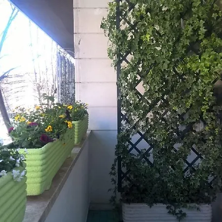 Luxury In Vatican Area روما