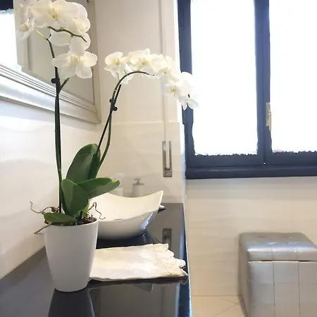 Luxury In Vatican Area