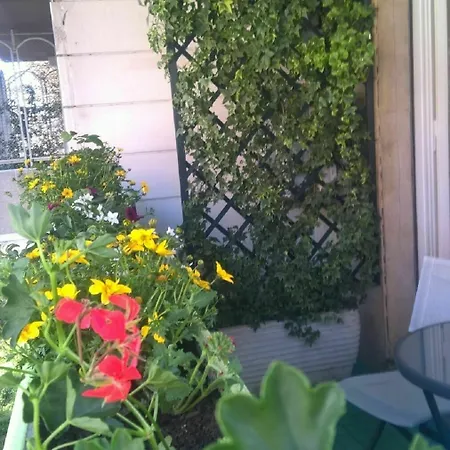 Luxury In Vatican Area